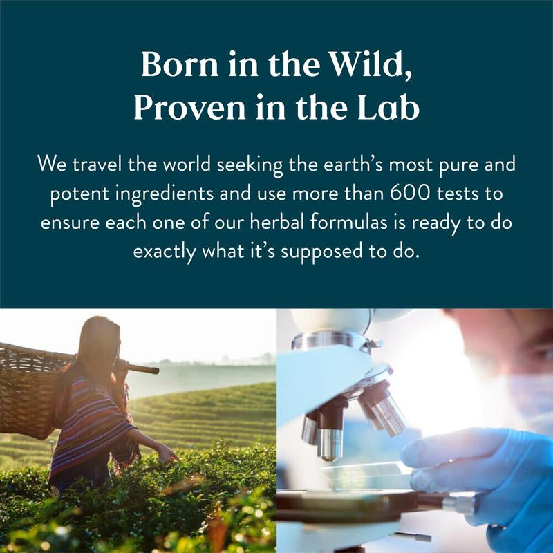 Nature's Sunshine Lymphatic Drainage Supplement for Bloating Relief, Detoxification, and Enhanced Lymphatic Support with Herbal Extracts